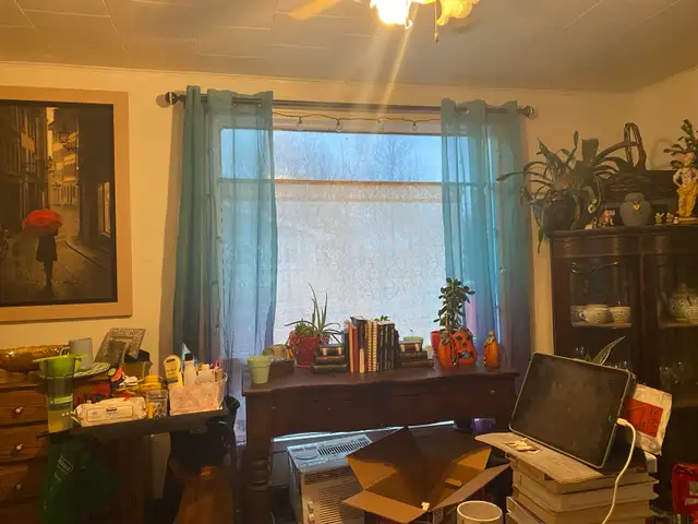 house for sale (definitely not haunted) - Photo 8