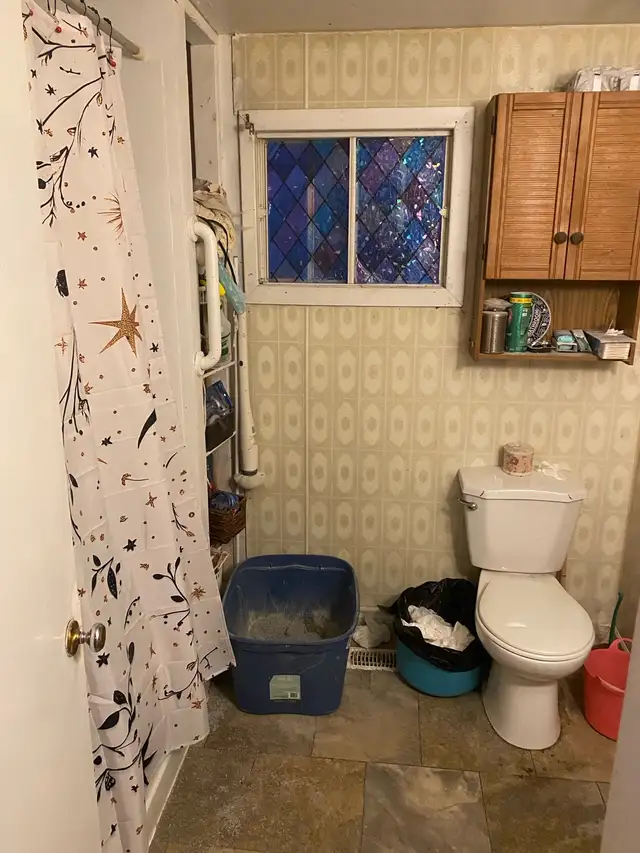 house for sale (definitely not haunted) - Photo 10