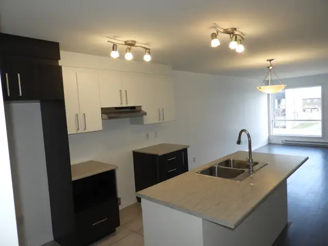 Condo de 2 chambres/5 electros/1 Remise/1Parking/Rivermead - Photo 16