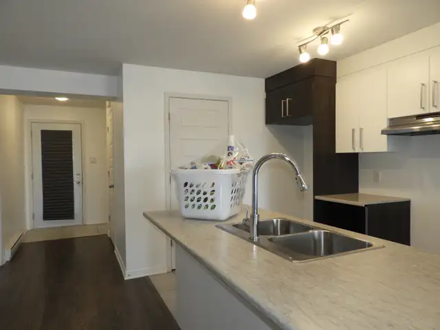 Condo de 2 chambres/5 electros/1 Remise/1Parking/Rivermead - Photo 18