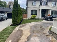 Landscaping & turf - Photo 2