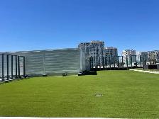 Landscaping & turf - Photo 5