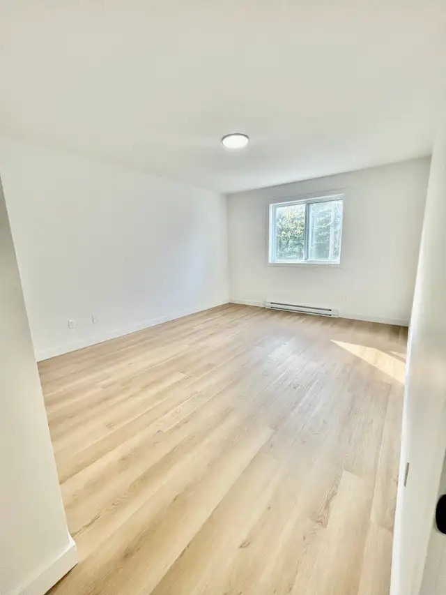 appartement 1475$ - Photo 6