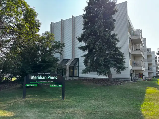 Fourth Floor View and Cats Welcome