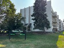 Fourth Floor View and Cats Welcome