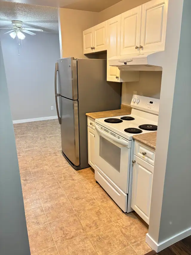 Fourth Floor View and Cats Welcome - Photo 2