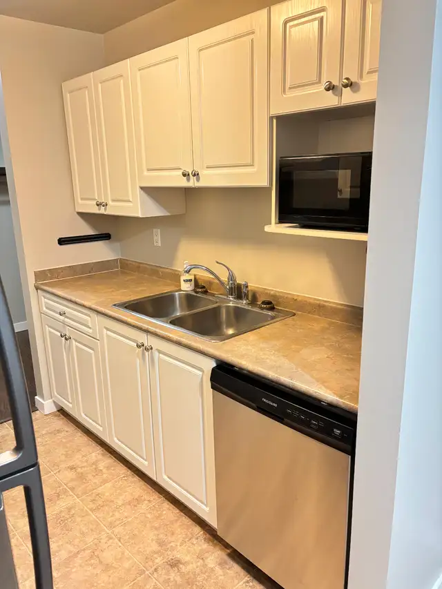 Fourth Floor View and Cats Welcome - Photo 3