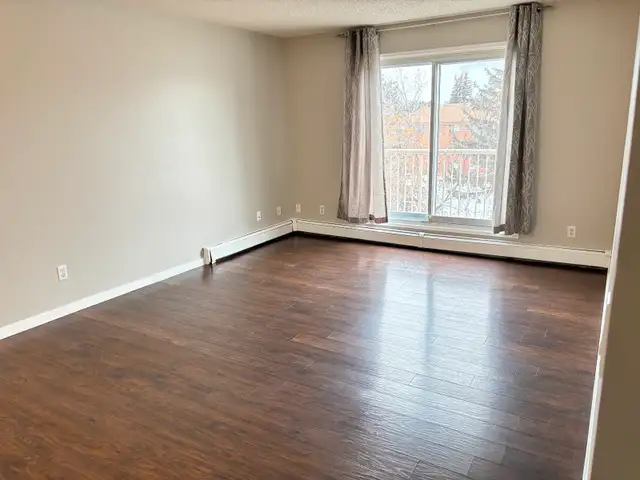 Fourth Floor View and Cats Welcome - Photo 4