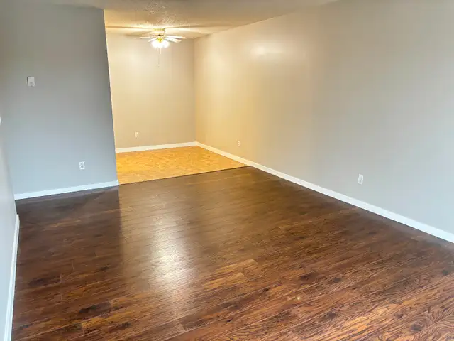 Fourth Floor View and Cats Welcome - Photo 5