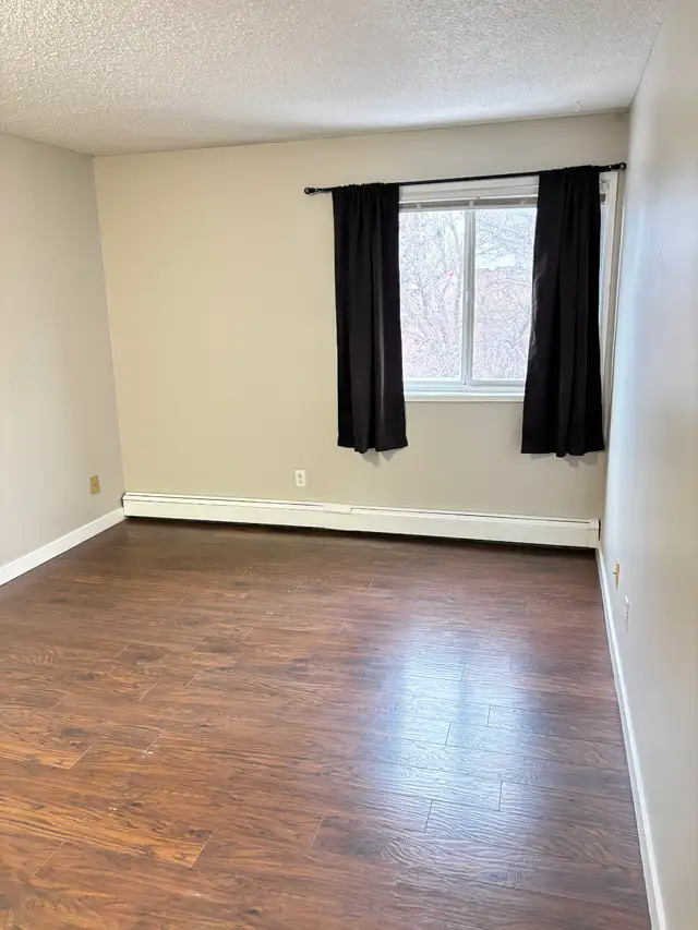 Fourth Floor View and Cats Welcome - Photo 6