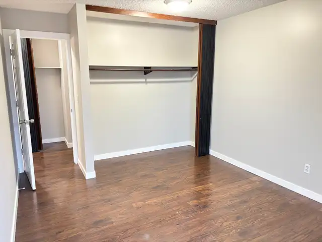 Fourth Floor View and Cats Welcome - Photo 7