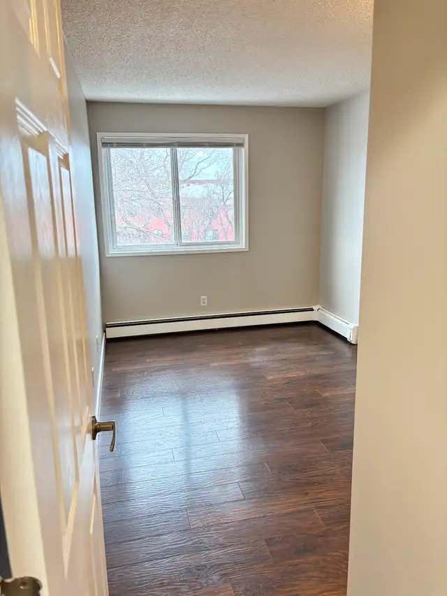 Fourth Floor View and Cats Welcome - Photo 8