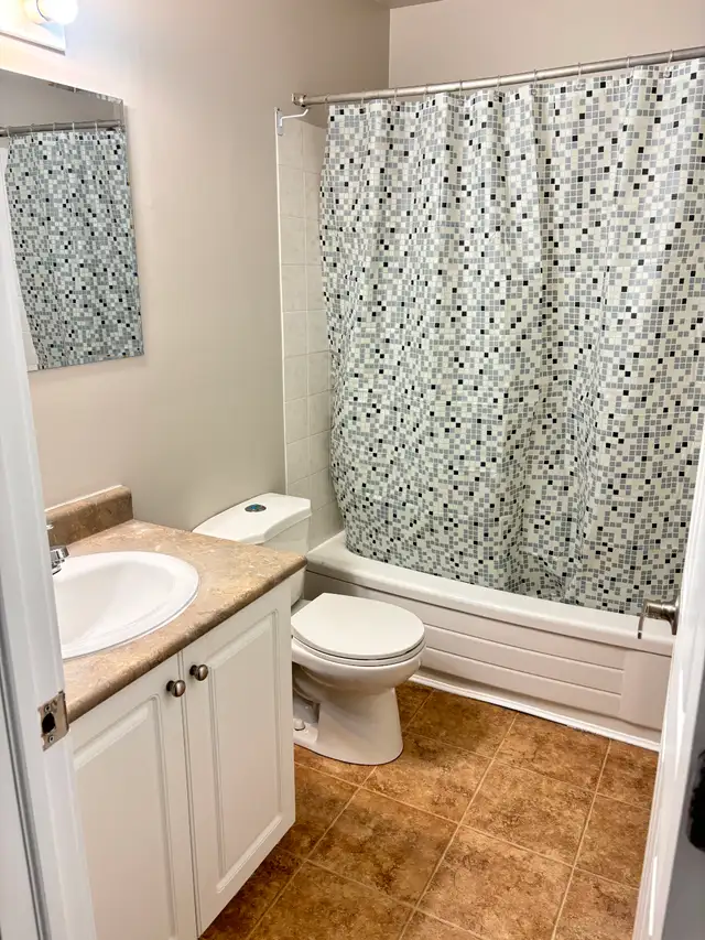 Fourth Floor View and Cats Welcome - Photo 9