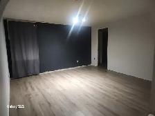 Shared basement suite - 2 BR