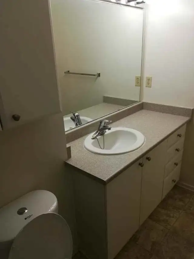 Apartment for Rent – 1339 Meadowlands Dr - Photo 4