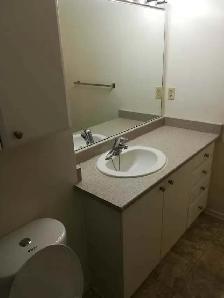 Apartment for Rent – 1339 Meadowlands Dr - Photo 4