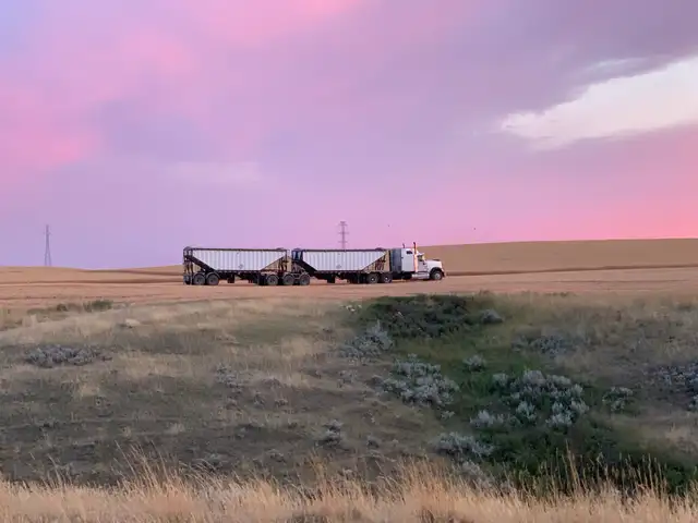 Mixed Farm Career Opportunity - Photo 2