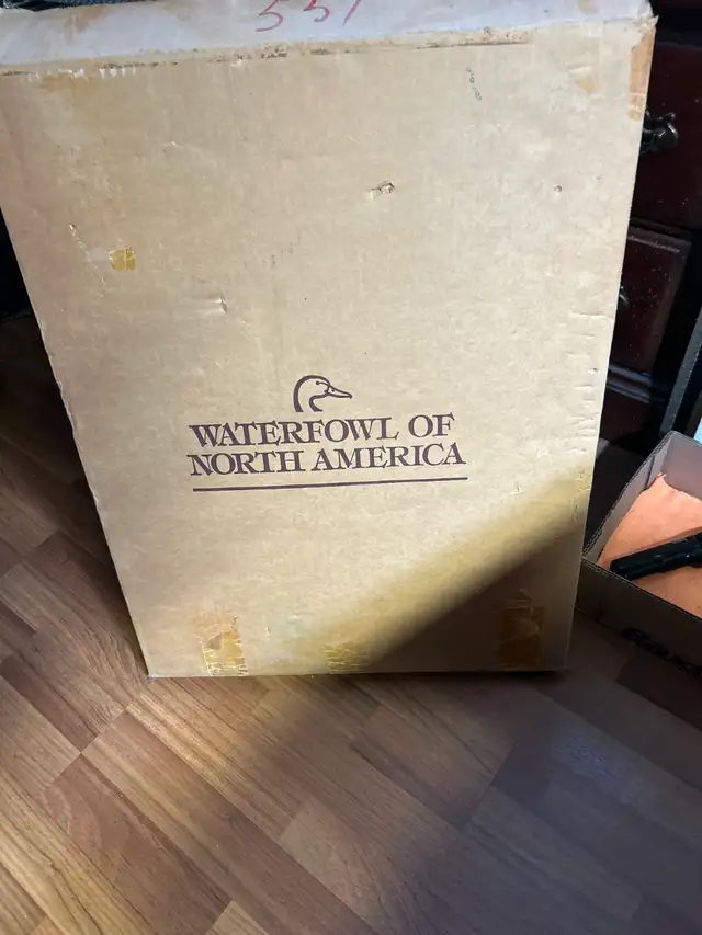 DUCKS UNLIMITED Waterfowl of North AmericaA magnificent oblong