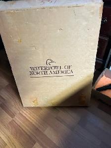 DUCKS UNLIMITED Waterfowl of North AmericaA magnificent oblong