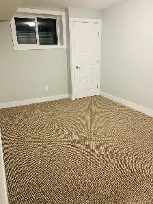 Basement for Rent - Saddleridge