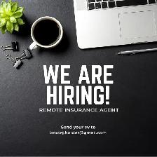 Remote Insurance Agent – AO Globe Life