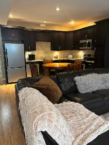 Furnished one bedroom basement suite