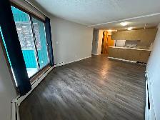 Millwoods Apartment For Rent