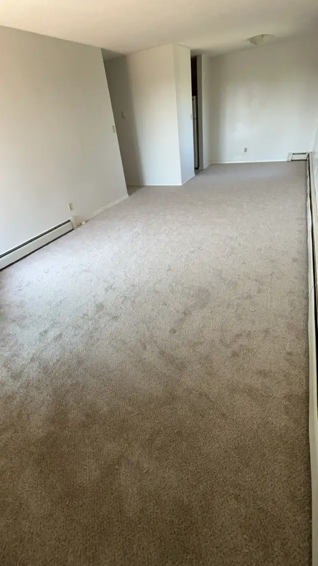 Millwoods Apartment For Rent - Photo 4