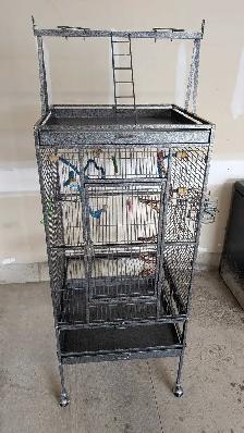Bird Cage For Sale! OBO