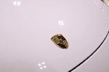 2012 Porsche 911 Carrera S Cabriolet | HIGHLY OPTIONED | LOW KM - Photo 10