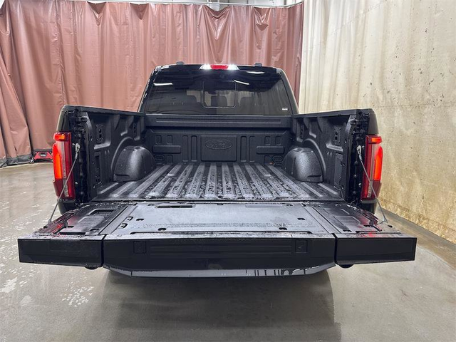 2025 FORD F-150 Lariat - Photo 16
