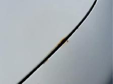 2013 Toyota Camry - Photo 25