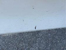 2013 Toyota Camry - Photo 27