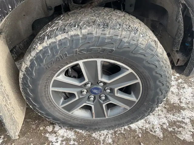 2015 Ford F-150 - Photo 12