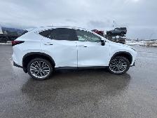 2026 Lexus NX NX 350 LUXURY PKG - AWD - HEATED / VENTILATED LEAT - Photo 6