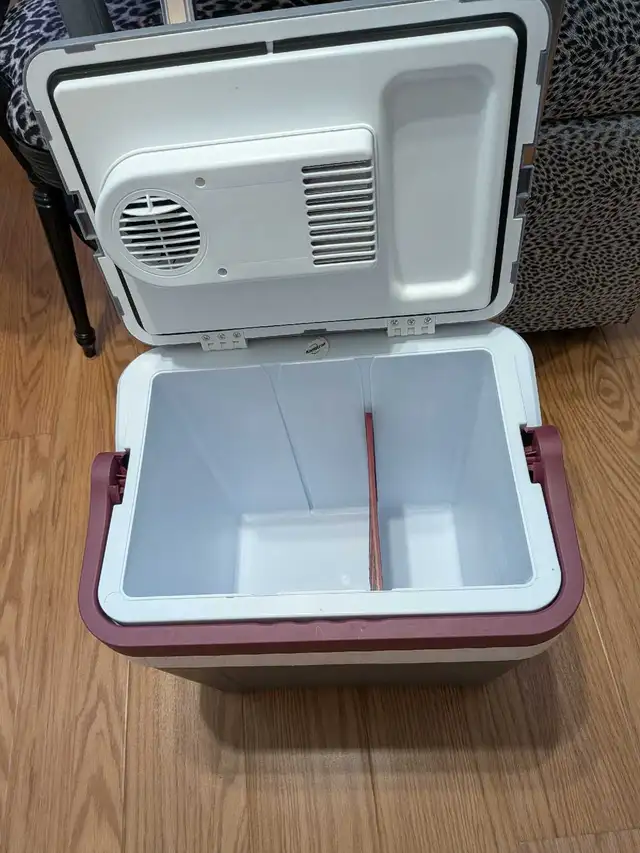 Electric Cooler FOR SALE - Photo 2