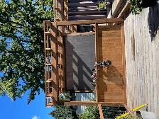 Framer/Labourer/Carpenter/Apprenticeship - Photo 6