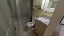 Downtown Earlton Beautiful Basement Suite - 1 Min to C-Train - Photo 2