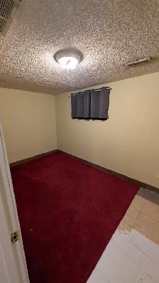 Downtown Earlton Beautiful Basement Suite - 1 Min to C-Train - Photo 3