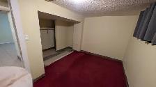 Downtown Earlton Beautiful Basement Suite - 1 Min to C-Train - Photo 4