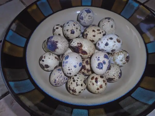 OEUFS DE CAILLES FRAIS