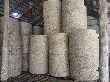 4x5 Grassy horse hay