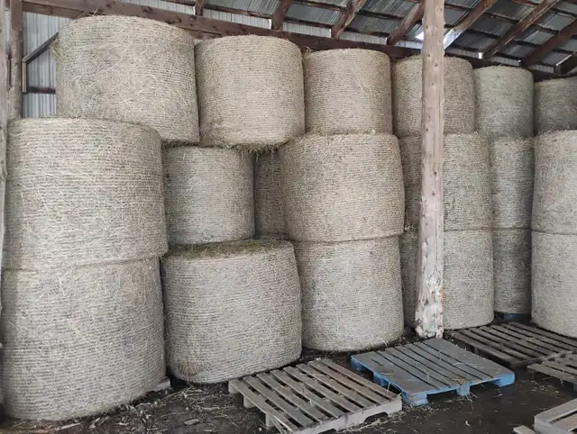 4x5 Grassy horse hay - Photo 2