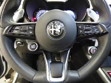 2024 ALFA ROMEO TONALE eAWD, TOIT, CUIR, NAVI, CARPLAY, GARANTIE - Photo 21