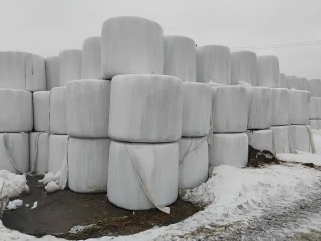 Wrapped wet hay