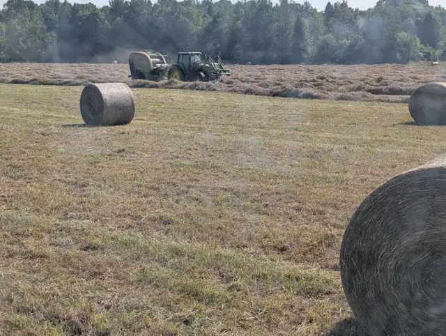 Wrapped wet hay - Photo 3