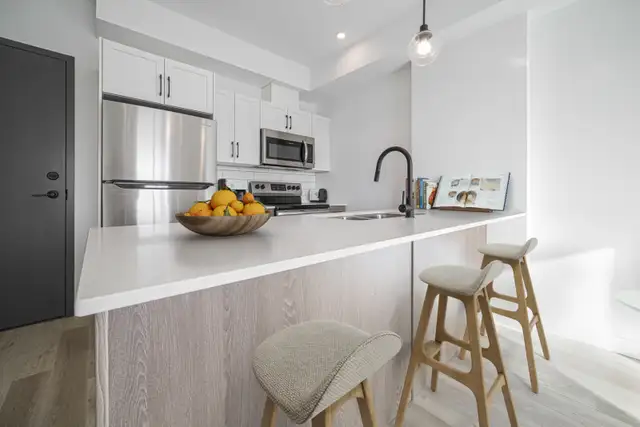 Modern 1 Bedroom Apartment! Available May 1st!