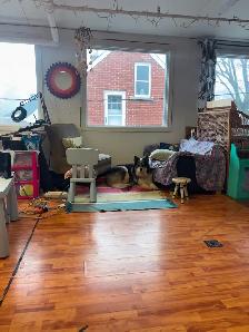 Studio Spaces for Artist in shared Studio for rent - Photo 6