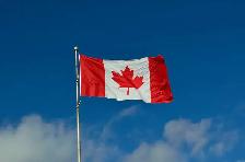 Immigration Help  Available