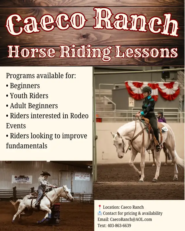 Western Horsemanship and Riding Lessons